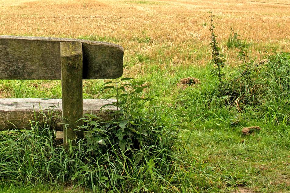 Bank on Meadow in Park