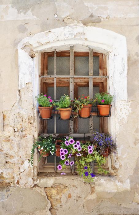 Window Flowers Former