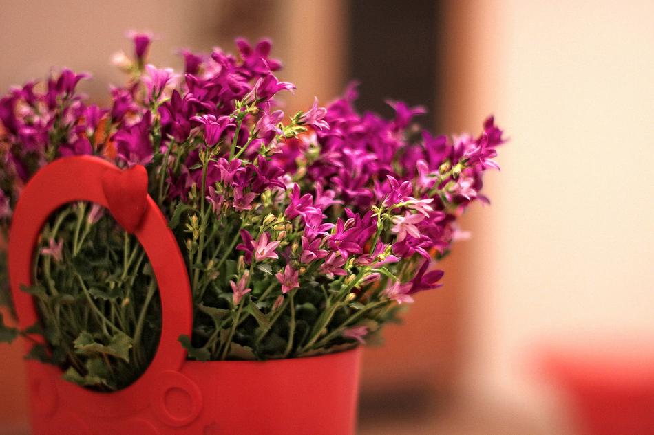 big beautiful bouquet