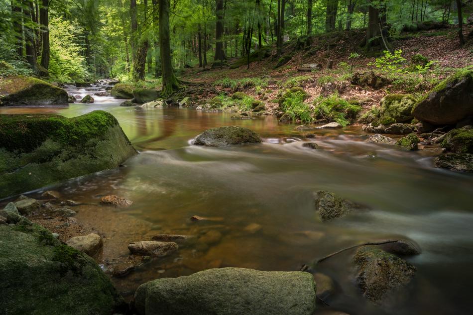 long river by the rocks in the forest