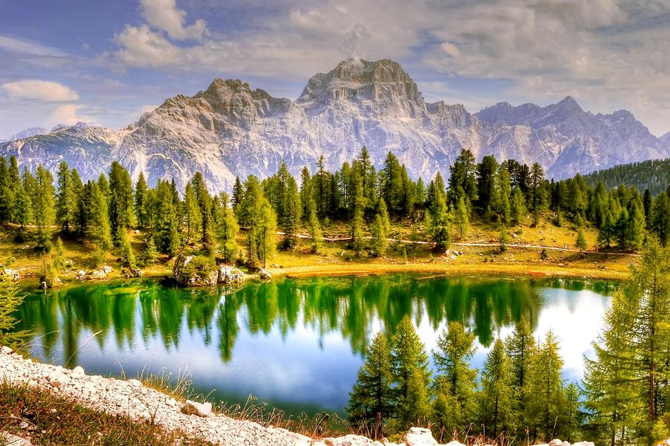 green lake with trees landscape