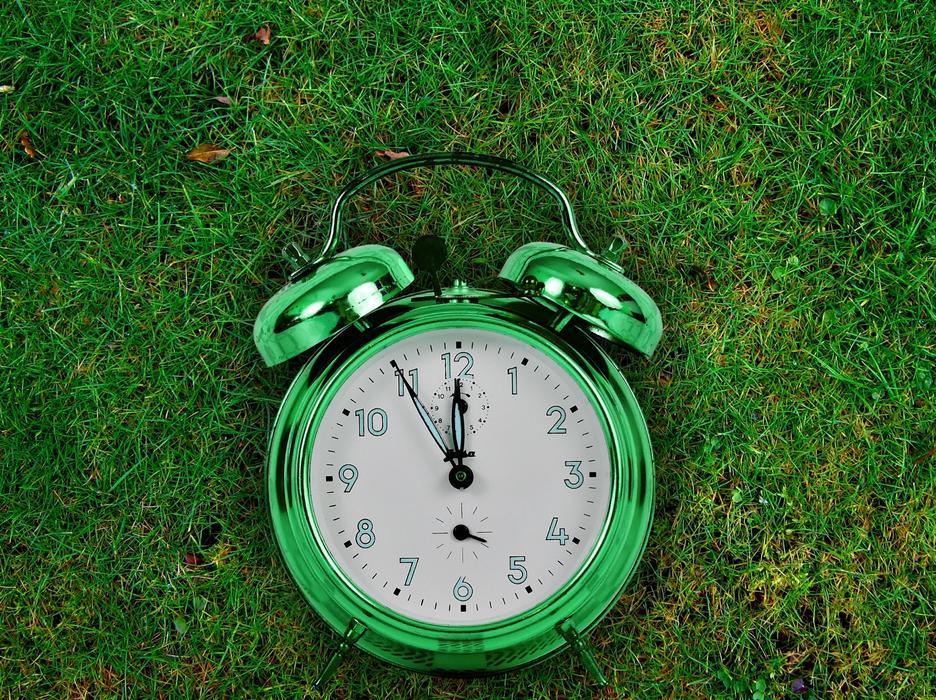 The Eleventh Hour Nature