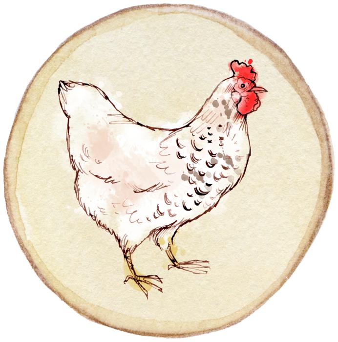 chicken round tag