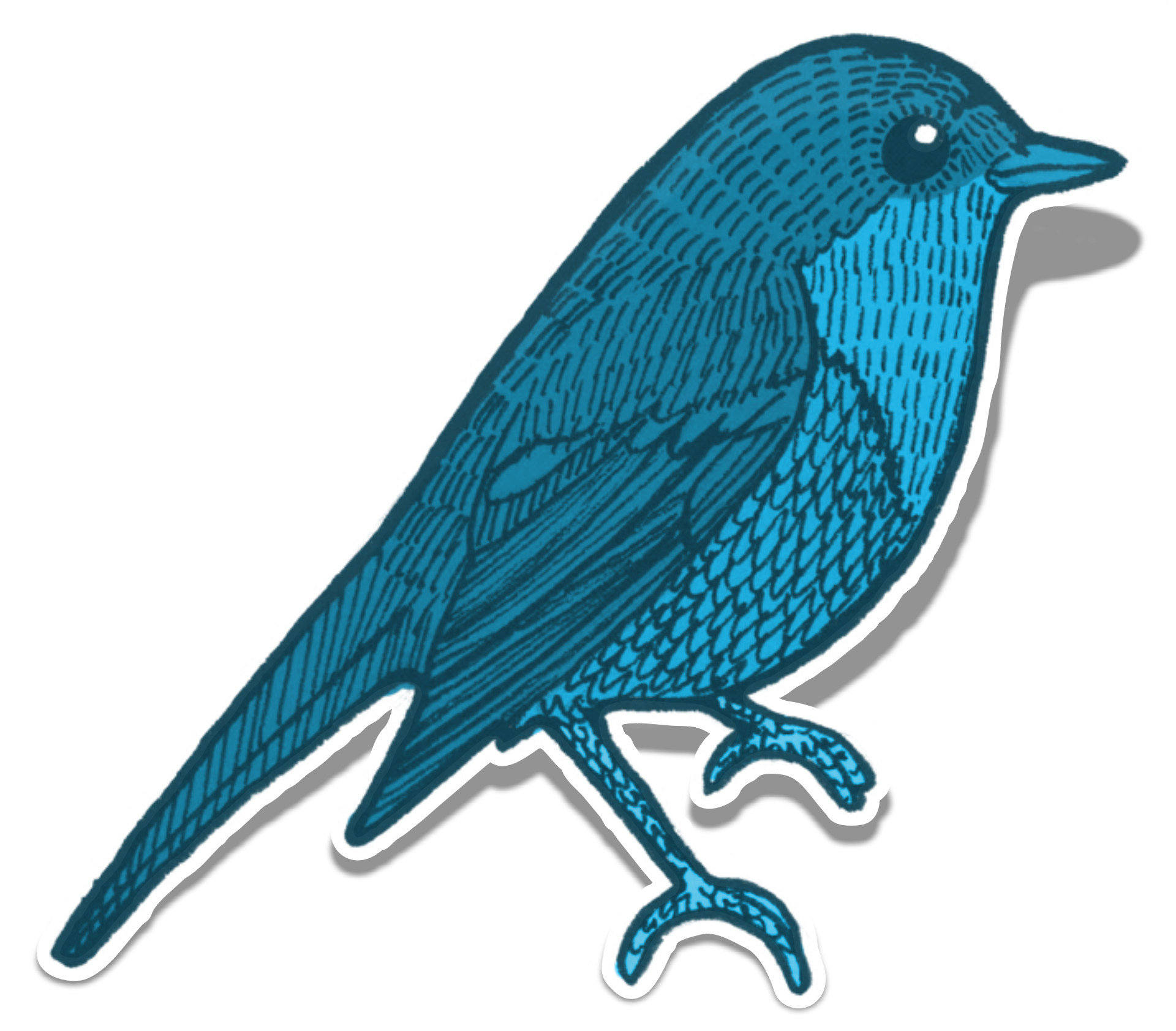 Bird blue element embellishment free image download