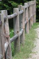 Fence Wood Structure