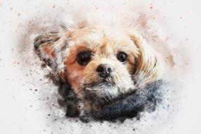 dog animal pet art abstract