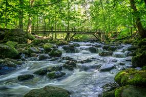 Forest River Stones
