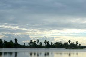 Nature Bluesky Lands