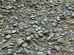 River Stones Stone
