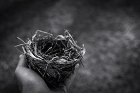 Nest hand black and white