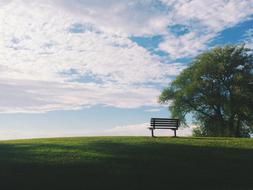 bench on hill meadow