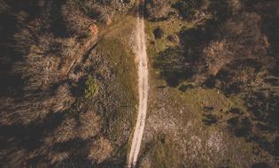 aerial view of the forest road