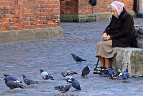 pigeons grandma walk