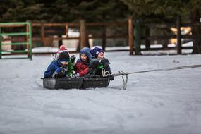 children ride big sleds in winter
