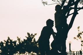 Silhouettes of the kids, climbing a tree