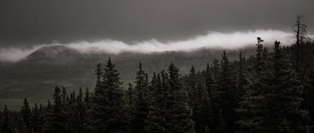 view of mountain forest at fog