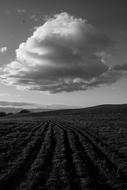 Black And White Field Farm