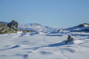 snowy Mountain Valley rocks Landscape