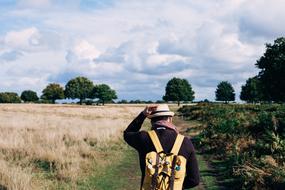 man with a backpack on the road through a field in the countryside