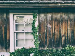 House Wood Wall