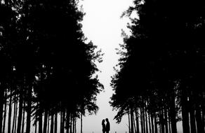 Couple Silhouette Nature