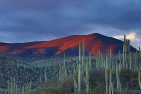 Landscape of orange Mountains summit