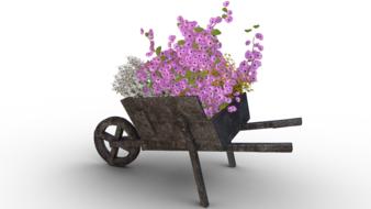 Flowers Cart Pushing Barrow