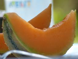 ripe summer melon