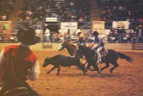 Horses Cowboys