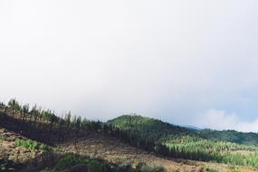 green hills with clouds on the ground