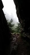 Nature Rocks Wild