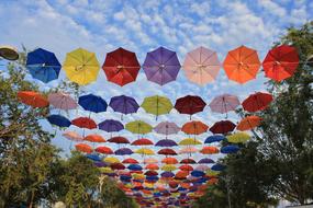 Umbrella Sky