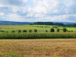 Landscape Fields Nature