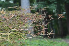 Environment Outside Nature