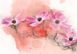 flower art background watercolour