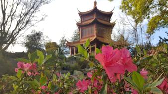 China Chinese Garden Architecture