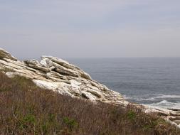 Maine Coast Ocean