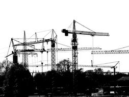 monochrome photo of cranes at a construction site