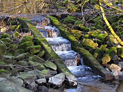 Water Cascade Stream
