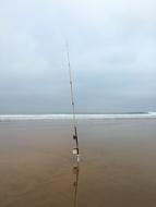 Beach Sea Ebb Fishing