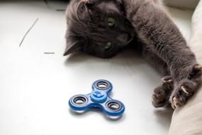 Spinner Cat Toy The