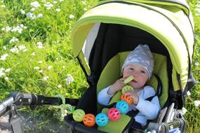 little boy in a stroller on a meadow