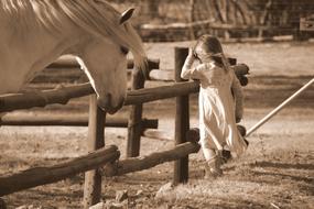 Horse and girl on farm