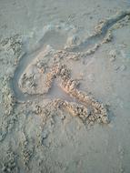 Water Beach Abstract
