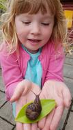 Snail Leaf Hand