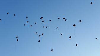 Balloons Sky Ceremony