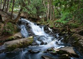 Creek River Waterfall in the forest