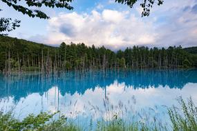 Blue Pond Apple Landscape