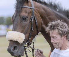 a man near a horse on a blurred background