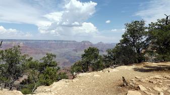 view cliffs trees trees beautiful